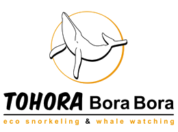 Tohora Bora Bora