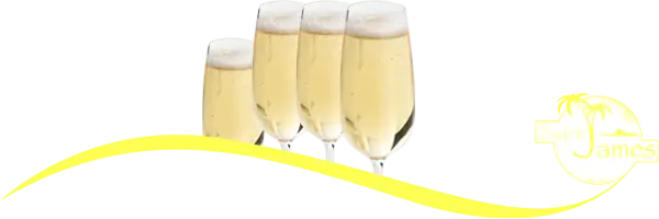 CHAMPAGNES AU VERRE (16 cl)